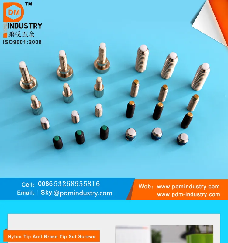 Plastic Nylon Tip Hex Socket Grub Set Screws