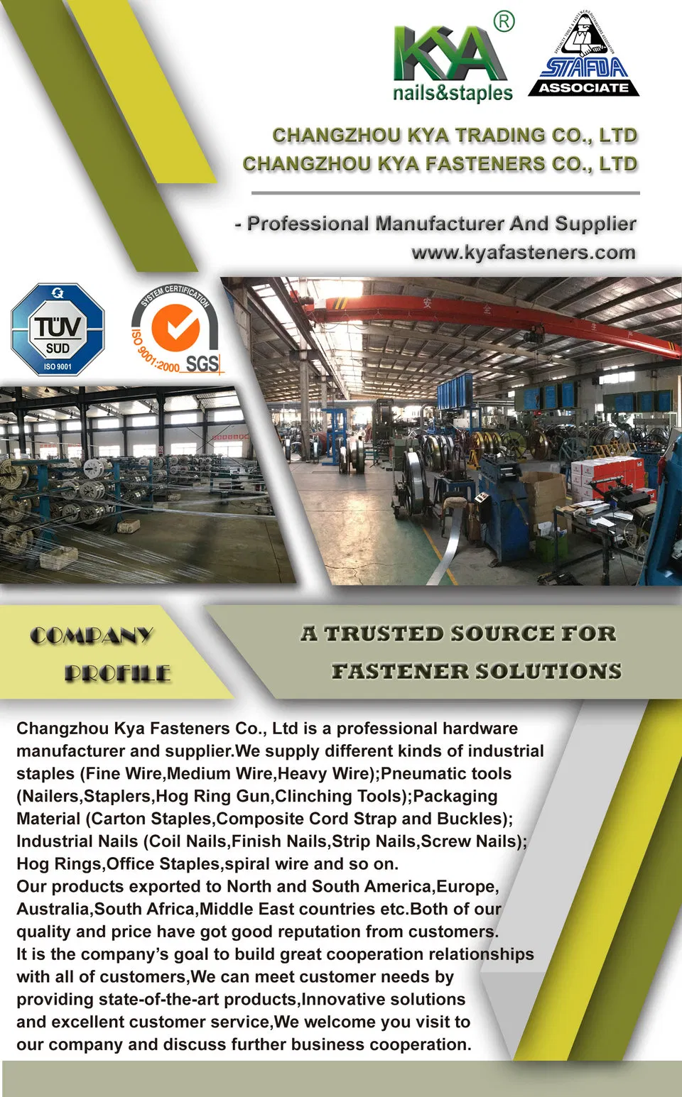 Plastic Strip Carbon Steel C1022 Collated Wood Screws