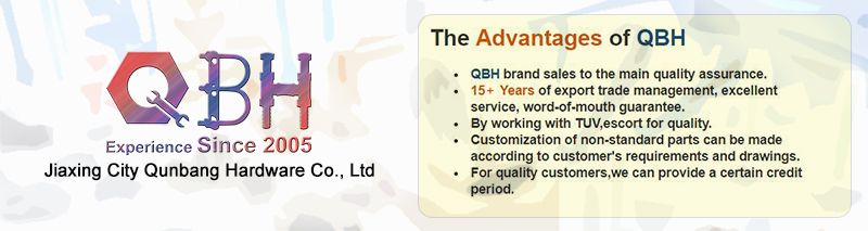 Qbh Customized Section Aluminium Profile Rail Use T-Slot Non-Standard Stainless Steel/Carbon Steel Blue White Zinc Plated Spring Channel Nut Roll-in T-Nuts