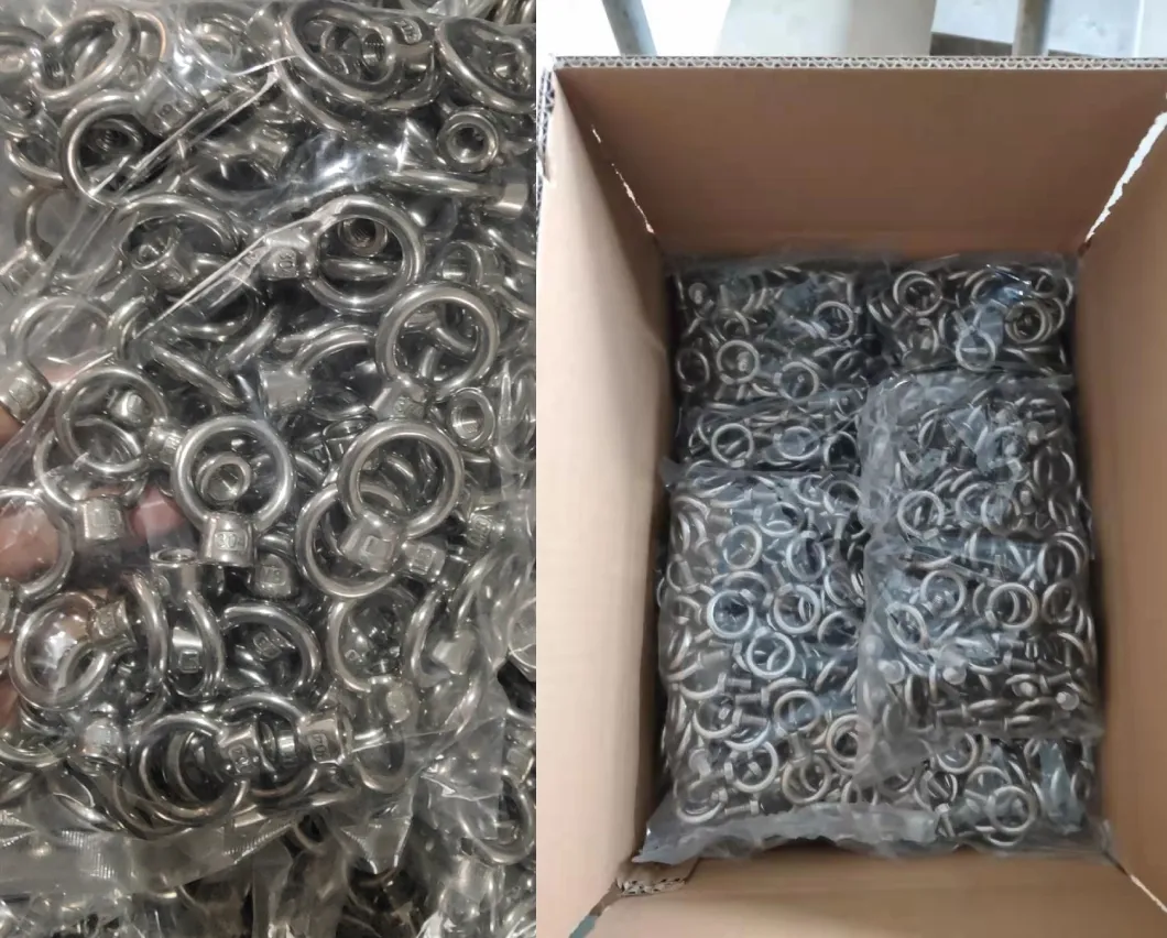 Rigging Hardware Drop Forged Carbon Steel Stainless Steel 304 316 JIS B 1168 1169 Lifting Eye Bolt Nut