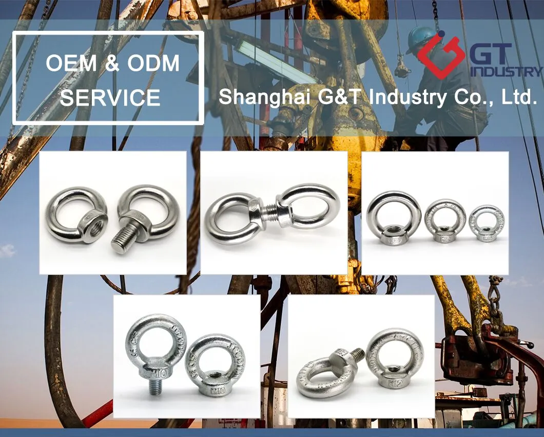 Rigging Hardware Drop Forged Carbon Steel Stainless Steel 304 316 JIS B 1168 1169 Lifting Eye Bolt Nut