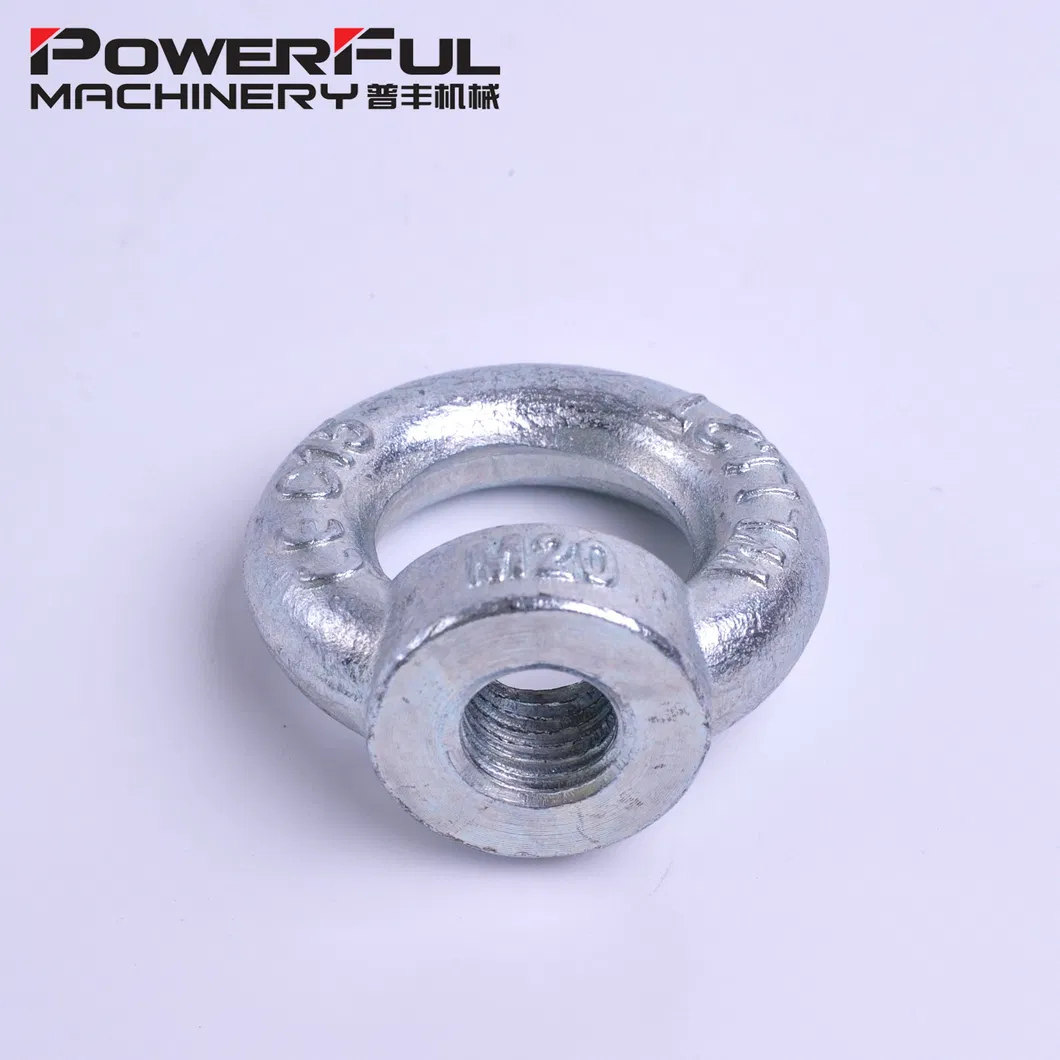 Rigging Hardware Hot DIP Galvanized DIN582 Lifting Eye Nut