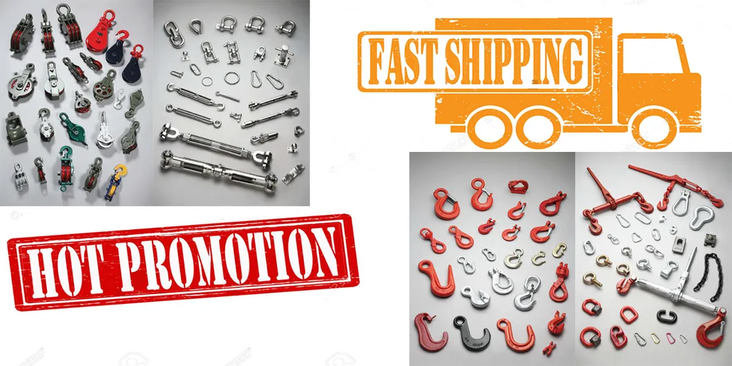 Rigging Hardware Hot DIP Galvanized DIN582 Lifting Eye Nut