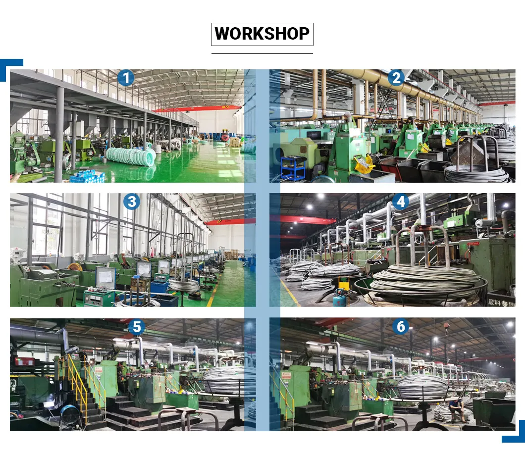 SS304 SS316 A2-70 T Head Hammer Bolt with Good Quality