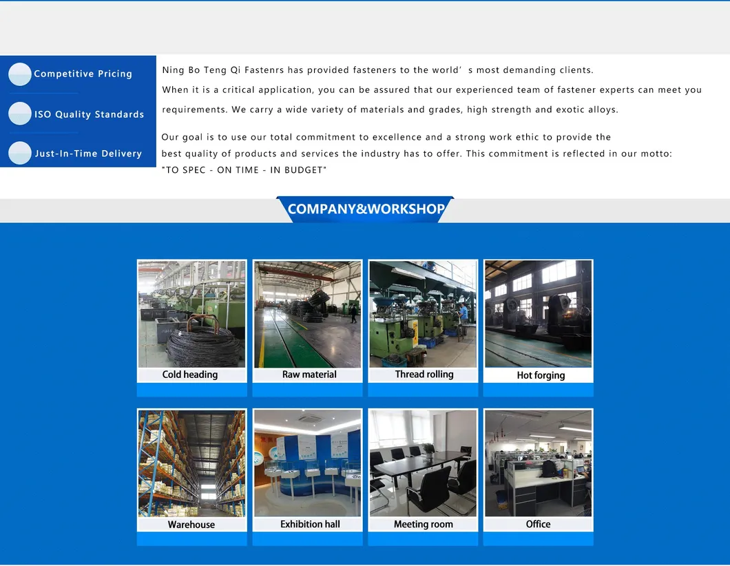 SS304 SS316 M6 M8 DIN318 Stainless Steel Wing Screws with Edged Wings