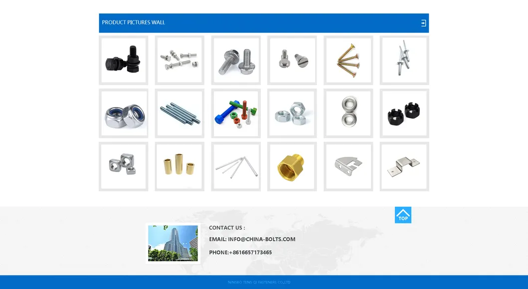 SS304 SS316 M6 M8 DIN318 Stainless Steel Wing Screws with Edged Wings