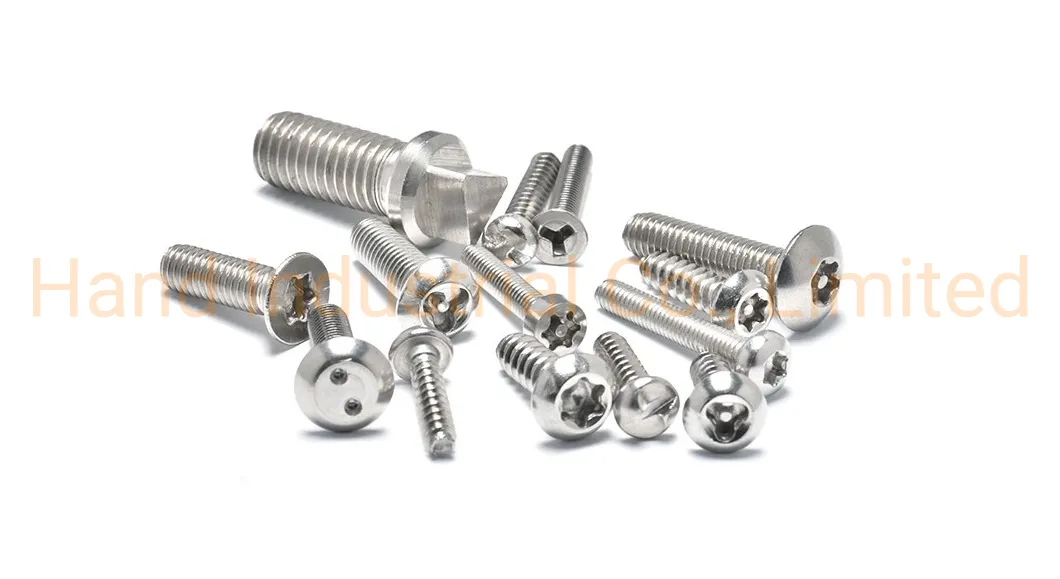 SS304 SS316 St2.9 St4.2 St5.5 St6.3 Pan Head Y Type Self Tapping Security Screw