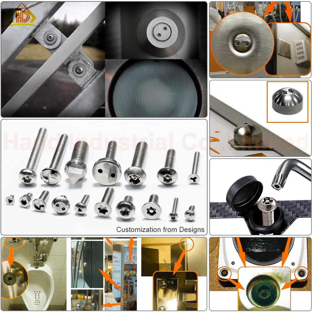 SS304 SS316 St2.9 St4.2 St5.5 St6.3 Pan Head Y Type Self Tapping Security Screw