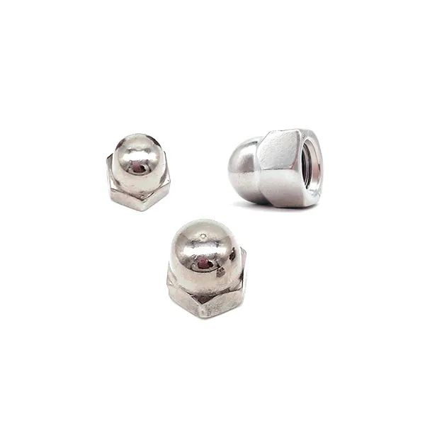Stainless Steel 304 316 Hexagon Cap Nuts DIN917