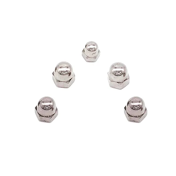Stainless Steel 304 316 Hexagon Cap Nuts DIN917
