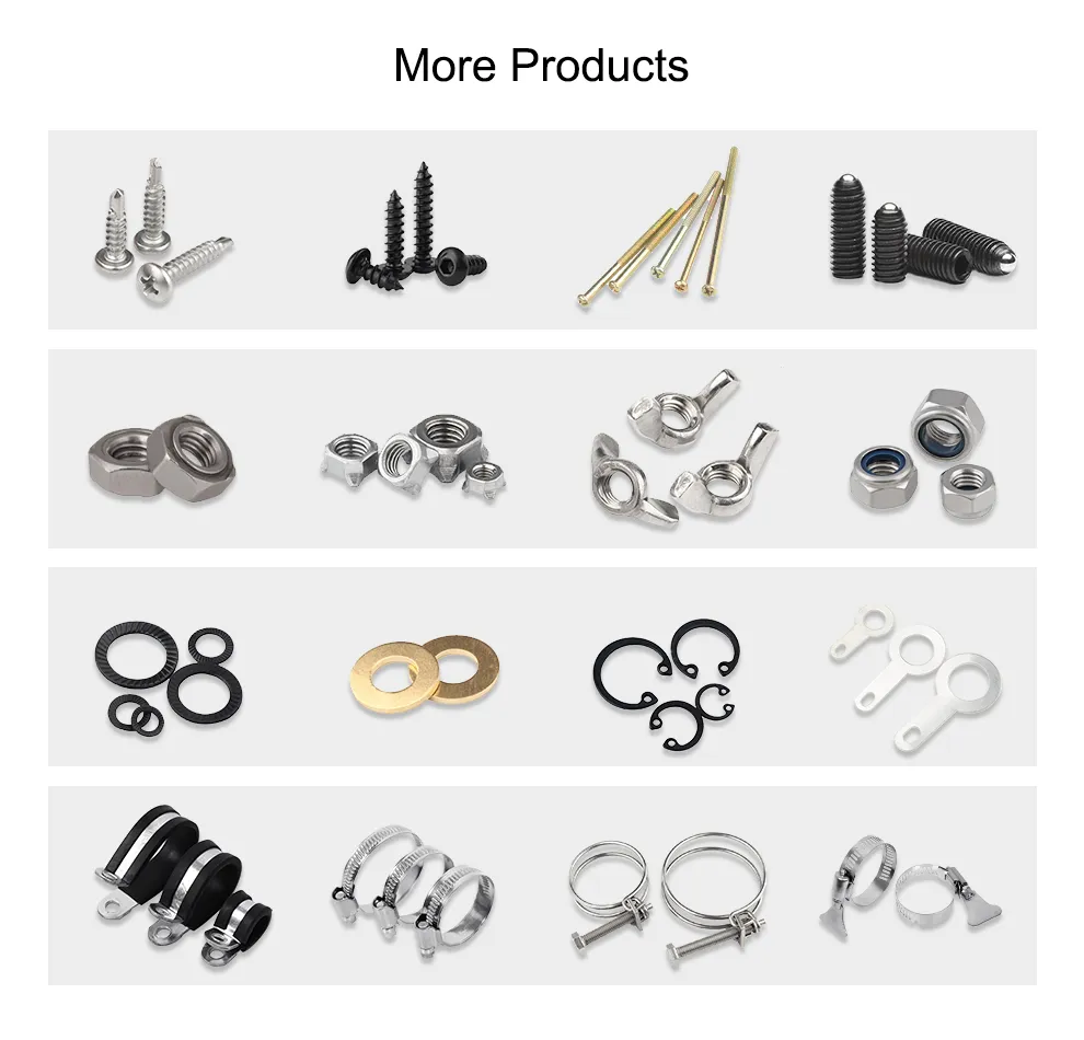 Stainless Steel 304 Hexagonal Socket Head Machine Meter Screw DIN916