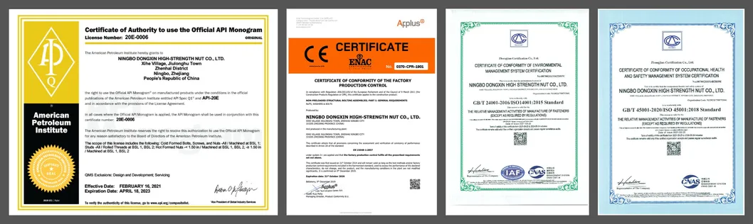 Stainless Steel Fit Closely Customized Wholesale Hot Selle Anti-Corrosion Nut with Factory Price