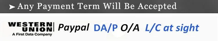 Stainless Steel Flange ASME B16.5