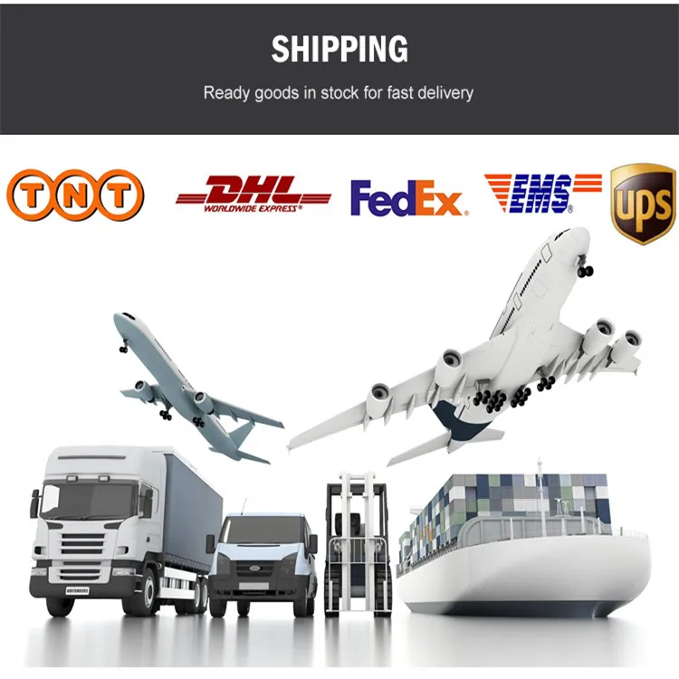 Stainless Steel Forged Steel Flange 150lbs/300lbs/600lbs/900lbs