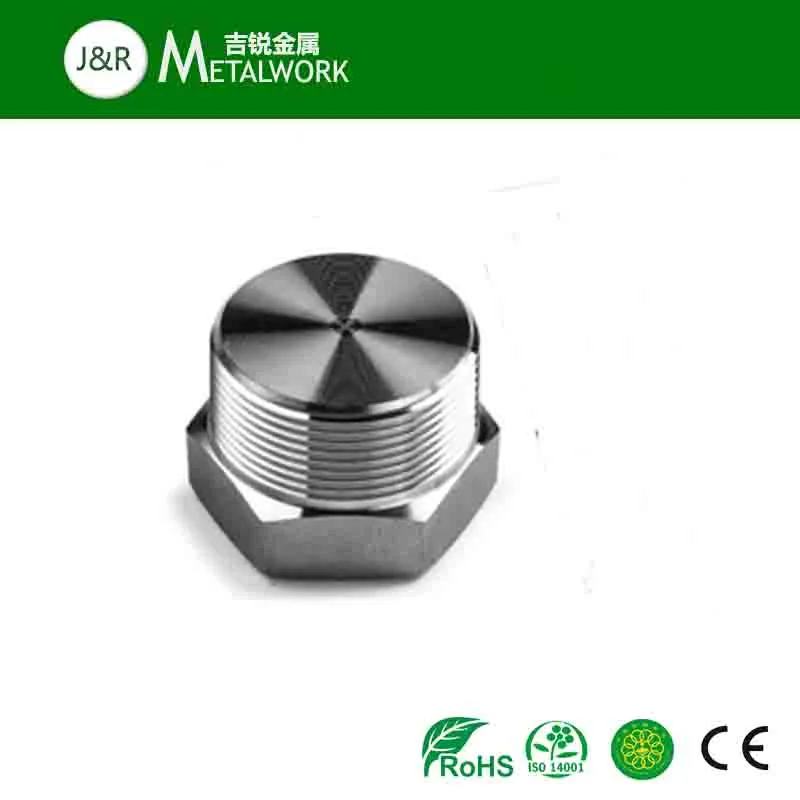 Stainless Steel Heavy-Duty Hexagon Hex Head Screw Plugs (DIN910)