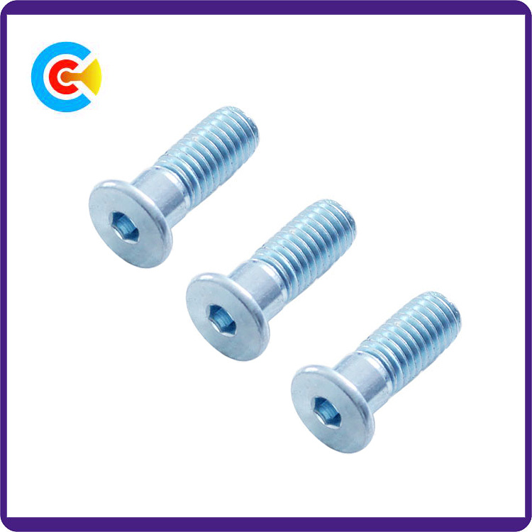 Stainless Steel Screw Galvanized Extension Rod Hexagon Button/Round Head Screw