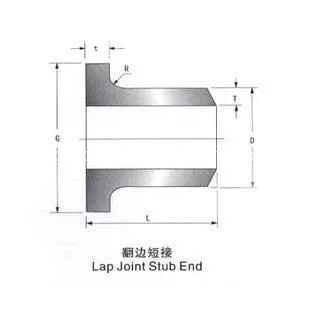 Stainless Steel Stub End (A403-304/316L, 310)
