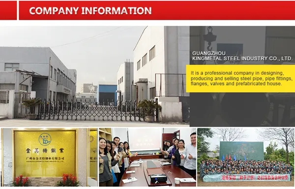 Welding Neck Flange 8" Sch 10s Cl300 RF ASME B 16.5 A182 Gr. F44