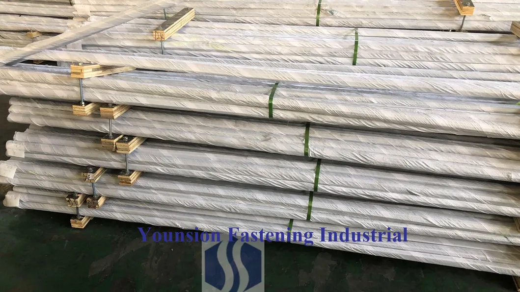 White Blue Zp with Blue Threaded Rod/Thread Rod in DIN976