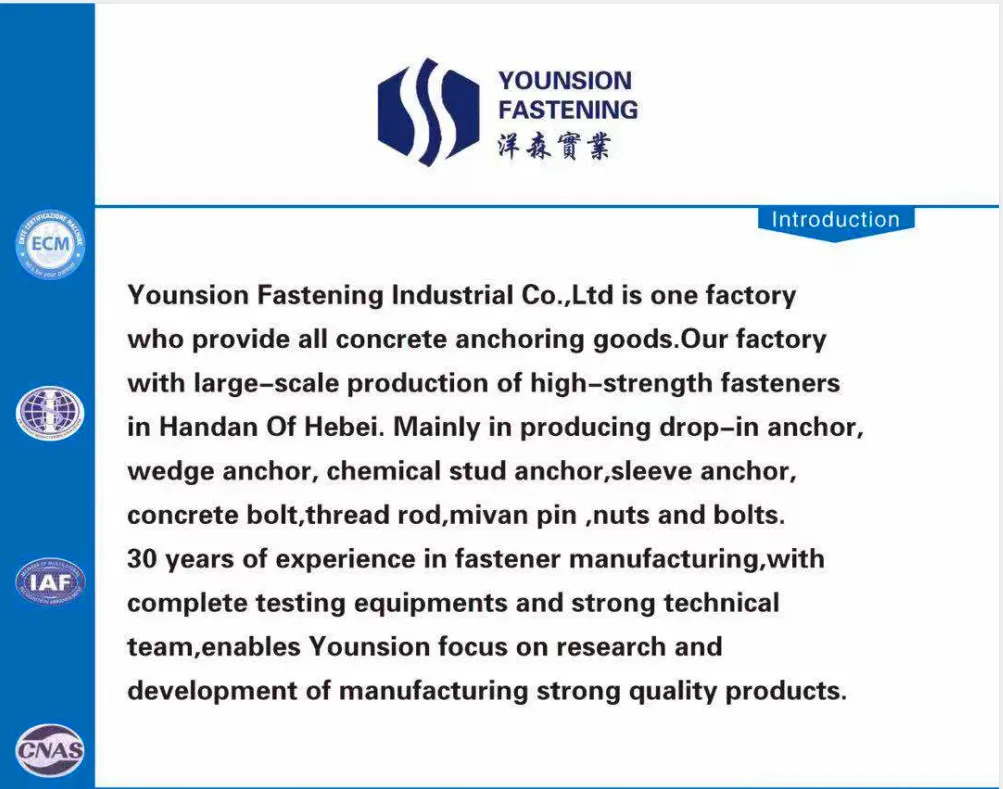 White Blue Zp with Blue Threaded Rod/Thread Rod in DIN976