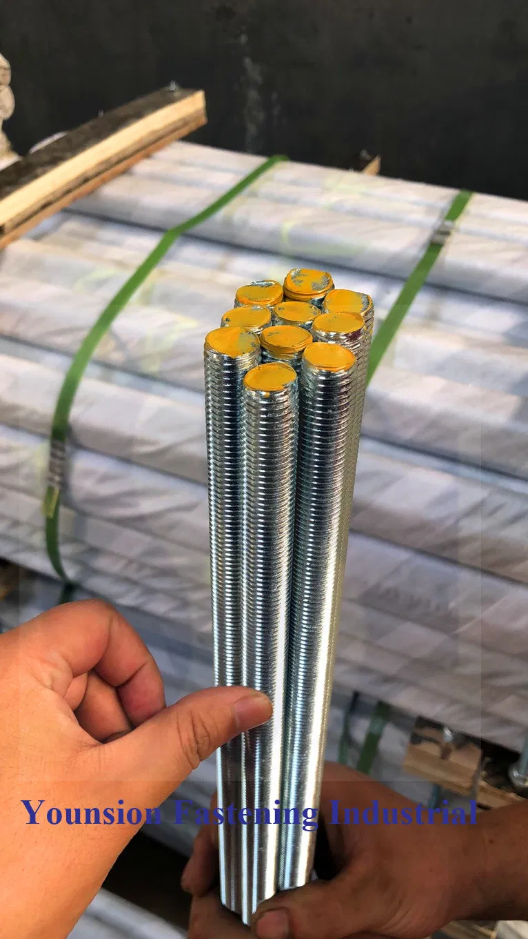 White Blue Zp with Blue Threaded Rod/Thread Rod in DIN976