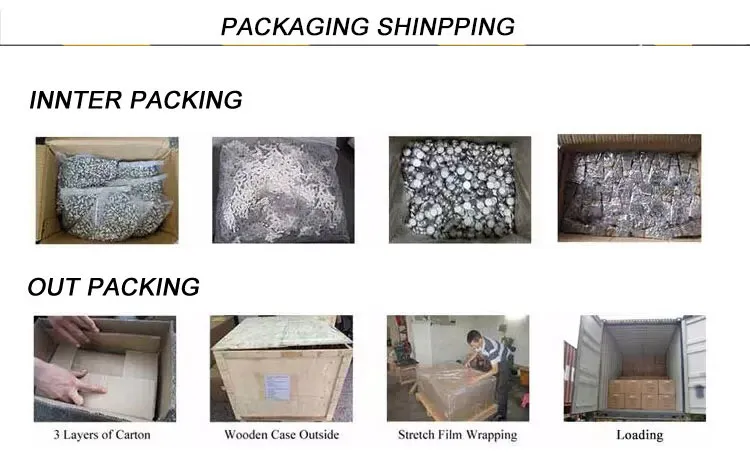 Wholesale Quality Truss Head Self Drilling Screw