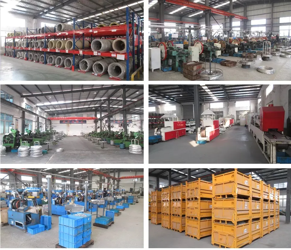 Wholesale Quality Truss Head Self Drilling Screw
