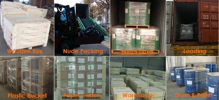 Wholesales Drop Forged DIN582 Galvanized Lifting Eye Nut