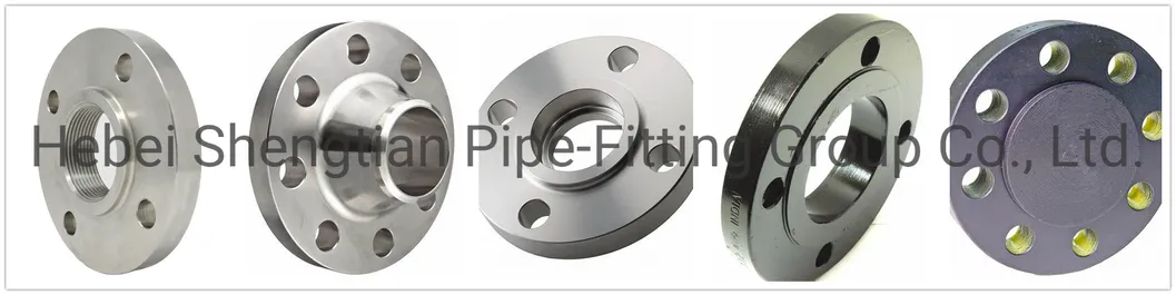 Wn Stainless Steel Weld Neck Flange (A182 F304H, F316H, F317, F321)