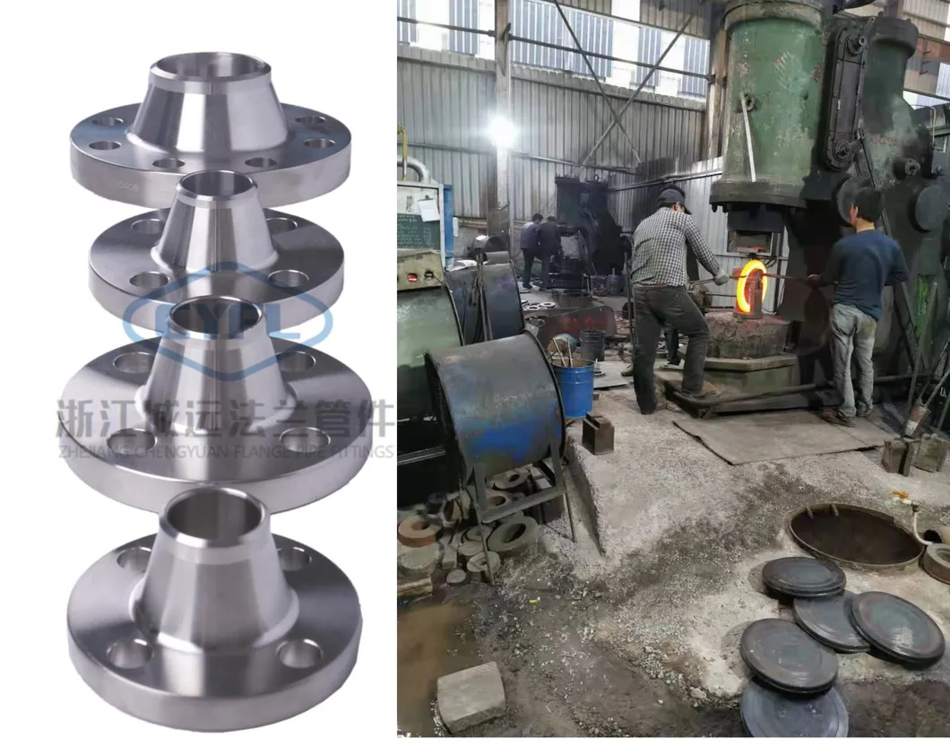 Wn Stainless Steel Weld Neck Flange (A182 F316H)