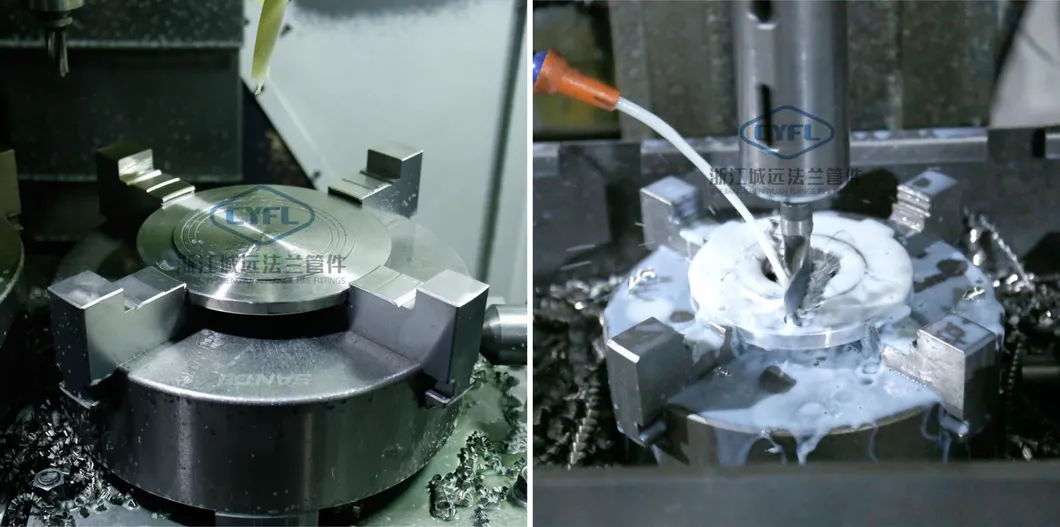 Wn Stainless Steel Weld Neck Flange (A182 F316H)