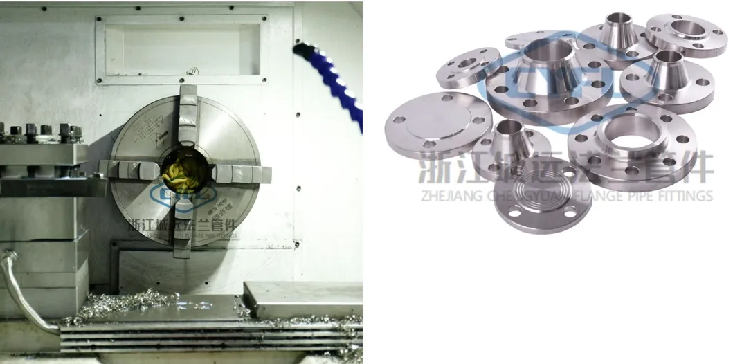 Wn Stainless Steel Weld Neck Flange (A182 F316H)